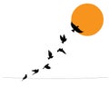 Birds on wire and flying birds silhouettes on sunset, vector. Scandinavian minimalism art design. Birds illustration Royalty Free Stock Photo