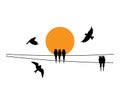 Birds on wire and flying birds silhouettes on sunset