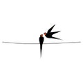 Barn swallow silhouettes on wire, vector Royalty Free Stock Photo