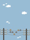 Birds on a wire Royalty Free Stock Photo