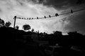 Birds on a wire against cloudy sky Royalty Free Stock Photo