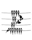 Just be free forever, birds on wire, vector