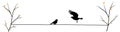 Birds on wire on branch and flying bird silhouette, vector Royalty Free Stock Photo