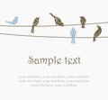 Birds on wires Royalty Free Stock Photo