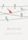 Birds on wires Royalty Free Stock Photo