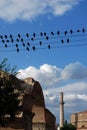 Birds on wires above the old city