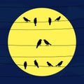 Birds on wires in full moon light Royalty Free Stock Photo