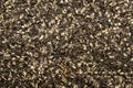 Birdseed Royalty Free Stock Photo