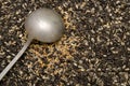 Birdseed Royalty Free Stock Photo