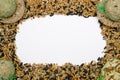 Birdseed Royalty Free Stock Photo