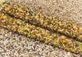 Birdseed Royalty Free Stock Photo
