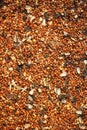 Birdseed Background Wide Royalty Free Stock Photo