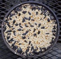 Birdseed Bowl Royalty Free Stock Photo