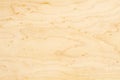 Birdseye Maple Textures #2 Royalty Free Stock Photo