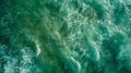 A birdseye view of the ocean showing the vast expanse of water covered in a layer of green. The once sparkling waves now