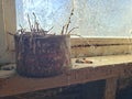 Birdsnest in an old rusty can in a barn windowsill