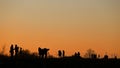 Birdwatcher, photographers and walkers in the Fens at sunset