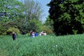 Birdwatchers at Magic Hedge  62697 Royalty Free Stock Photo