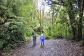 Birdwatchers searches for birds at Monteverde Cloud Forest