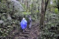 Birdwatchers searches for birds at Monteverde Cloud Forest