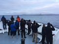 Birdwatchers on stern of expedition cruise ship Royalty Free Stock Photo