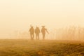 Birdwatchers walking in the fog an early morning Royalty Free Stock Photo