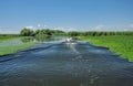 Birdwatching boat trip in the Danube delta