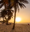 walking at Sunset at Kota beach and palm trees