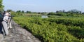 Birdwatching in Kranji marshes, Singapore Royalty Free Stock Photo