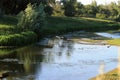 Birdwatching near small natural pond or ditch