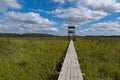 Birdwatching tower and footbridge across the swamp at Bolshom rakovom Big Crayfish Lake. Eco route in the Royalty Free Stock Photo