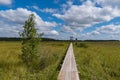 Birdwatching tower and footbridge across the swamp at Bolshom rakovom Big Crayfish Lake. Eco route in the