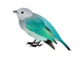 Birdy Royalty Free Stock Photo