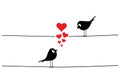 Birds couple on wire, vector Royalty Free Stock Photo