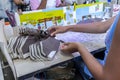 Production line children`s shoes industry in Birigui, Sao Paulo state Royalty Free Stock Photo