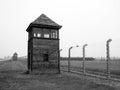 Birkenau auschvitz holocaust2