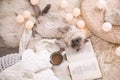 Birman cat, cup of drink and book on rug at home. Cute pet