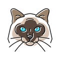 birman cat cute pet color icon vector illustration
