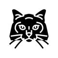 birman cat cute pet glyph icon vector illustration