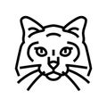 birman cat cute pet line icon vector illustration