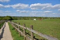 Birmingham woodgate walley country park, sunshine meadow and horses, wooden fence and gravel footpath, green trees horizont