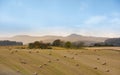 Birnam Hill in the distance - beautiful golden autumn in Perthshire, Scotland