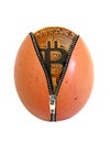 Birth of the bitcoin egg unzipped unzip coin money cash digital online internet trading virtual banking food hen chicken open