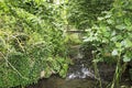 Birth of the Hueznar river in San Nicolas del Puerto, North Seville Mountain, Andalusia, Spain