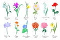 Birth month flowers colorful vector art set.