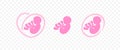 Birth, pregnancy, baby in belly, embryo and human fetus, graphic design