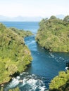 Birth of the Rio Bueno, leaving Lake Ranco. In the region of Los RÃÂ­os, in AraucanÃÂ­a or Patagonia, Chilean Andes. South of Chile Royalty Free Stock Photo