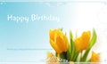 Birthday Card Royalty Free Stock Photo