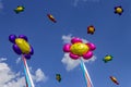 Birthday balloons fly across the sky against white clouds