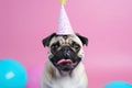 Birthday bliss: pug dog in party hat on pretty pink